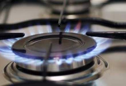Guvernul vrea sa amane cu 6 luni liberalizarea preturilor gazelor, dar CE respinge solicitarea
