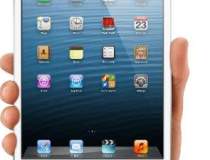 Gartner: iPad Mini, 60% din...