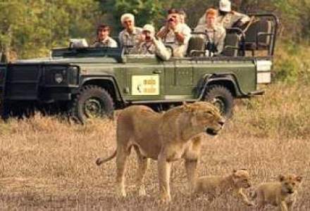 TOP: cele mai tari destinatii de safari din lume