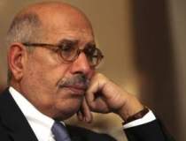 Mohammed ElBaradei a fost...