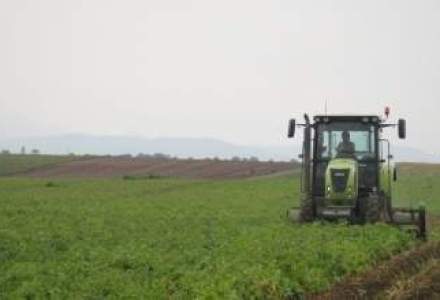Benu (APIA): Peste 80% din terenurile agricole din Romania, la limita incarcaturii cu nitrati. Nu exista pericol de poluare
