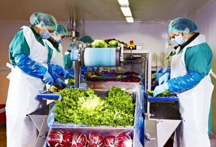 Producătorul român de salate Eisberg își continuă producția la întreaga capacitate și speră să nu aibă discontinuități în lanțul de aprovizionare cu materii prime