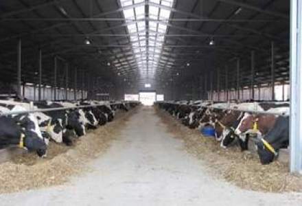 Suspiciuni de botulism: China suspenda importurile de lapte praf din Noua Zeelanda