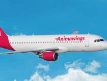 Compania aeriană Animawings...