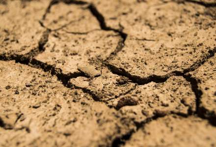 Cehia se confruntă cu cea mai severă secetă din ultimii 500 de ani
