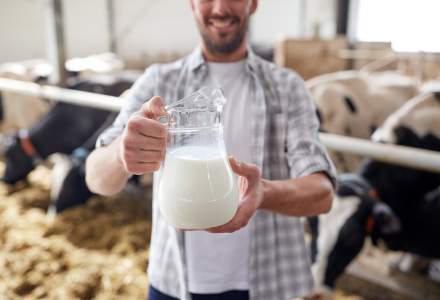 APIA: Ajutor de la Comisia Europeană pentru depozitarea privată a cărnii de bovină, capră şi oaie, unt, lapte praf şi brânzeturi