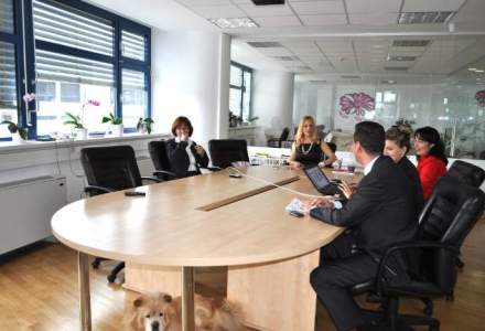 Acasa la firma de recrutare Lugera: birouri luminoase si "dotate" cu animale de companie