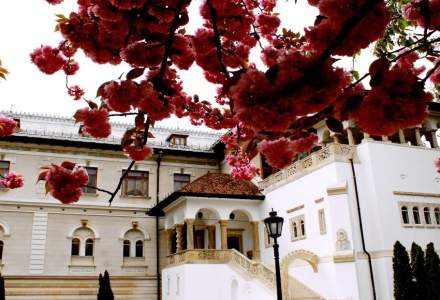 Muzeul Național Cotroceni reia activitatea de vizitare la finalul acestei săptămâni