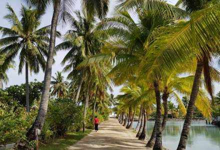Fiji se declară ţară liberă de COVID-19