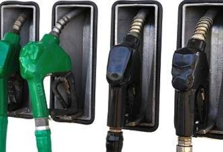 Pogonaru: Accizele la carburanti vor influenta nivelul de trai, nu inflatia