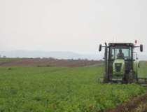 Agricover: Productia agricola...