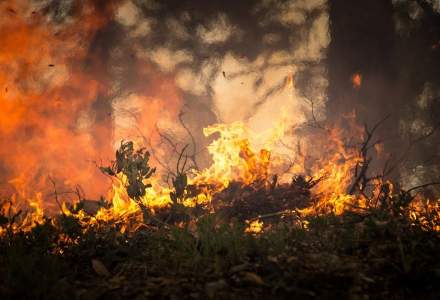 Focare și incendii de vegetație în Grecia