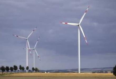 Pericol: industria eoliana, lovita de impozitul de 1,5%