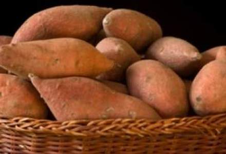 Campanie inedita: cartofii prajiti, in patrimoniul mondial UNESCO