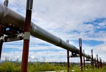 Gaz Sud vrea sa cumpere distribuitori de gaze din Romania si din strainatate