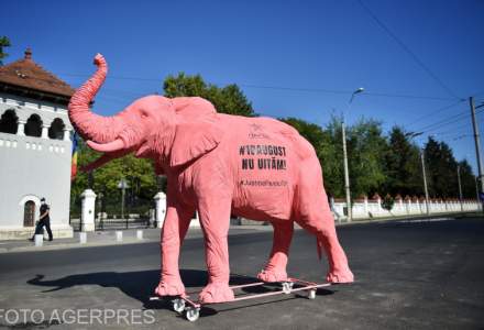 FOTO/ VIDEO Membrii comunității Declic duc un elefant roz la toate instituțiile implicate în ancheta 10 august