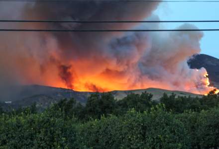 VIDEO Incendii devastatoare în California