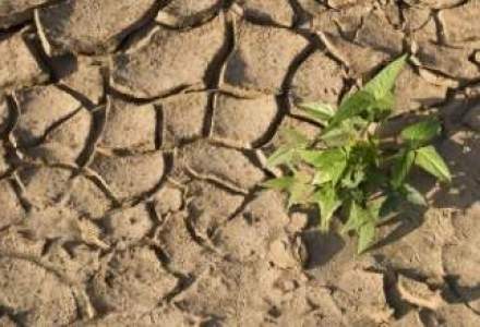 Perioadele de seceta din Europa vor creste cu 80% pana in anul 2100