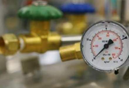 ANRE: Dereglementarea pretului gazelor pentru industrie s-ar putea incheia mai devreme