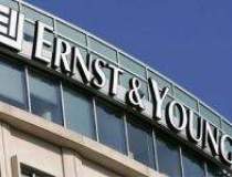 Ernst&Young, noua companie de...