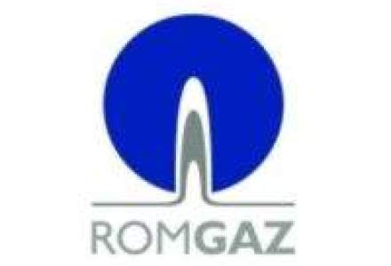 Productia de gaze a Romgaz a scazut cu aproape 1% in 2008