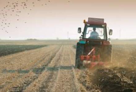 Consultantii pe proiecte agricole vor avea nevoie de acreditare: Amageau fermierii mici