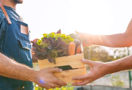 PIEȚE ÎNCHISE: de unde poți comanda online fructe și legume direct de la producători