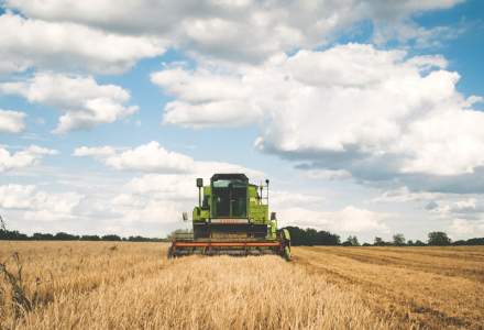 Agricultori: Închiderea piețelor ne va aduce produse mai nesănătoase