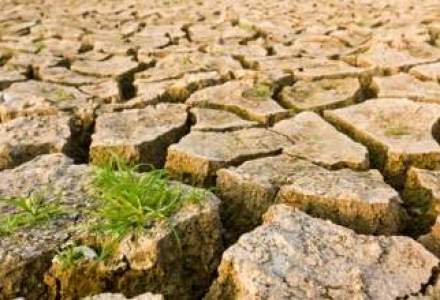 Schimbarile climatice taie 2% din productia agricola mondiala la fiecare zece ani