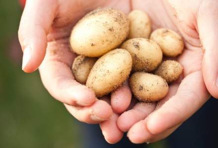 Ce s-a scumpit în octombrie: Cartofii, chiria și încălțămintea din piele