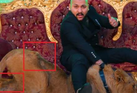 Un nou dosar penal pentru Dani Mocanu: manelistul a filmat un videoclip cu un leu rănit