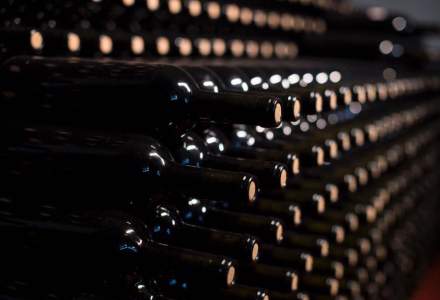 Vinul din acest an, superior față de producția din anii trecuți