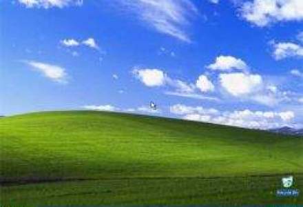 Guvernele platesc milioane de euro catre Microsoft pentru prelungirea suportului Windows XP