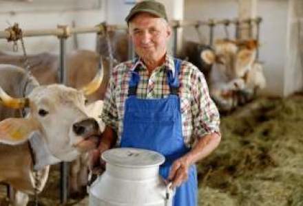 Preturile la lapte vor scadea cu pana la 10%