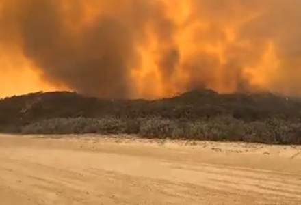 O insulă din Australia, patrimoniu UNESCO, este devastată de incendii