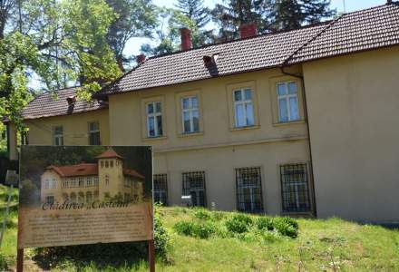 Decizie definitivă a Instanței: Castelul și domeniul lui Octavian Goga de la Ciucea rămân în proprietatea Consiliului Județean Cluj