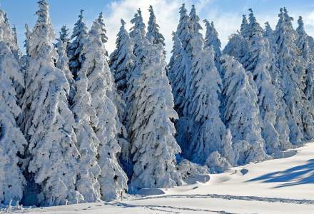 MAE/ Atenţionare de călătorie: Slovenia - căderi masive de zăpadă şi inundaţii