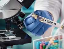 Coronavirus: Laboratorul...