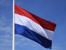 Guvernul olandez a demisionat