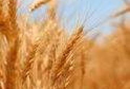Ioan Niculae: Criza din agricultura va atinge maximul la sfarsitul lui septembrie