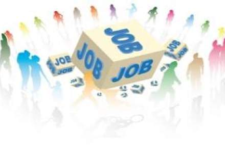 Evaluare ANOFM: peste 16.600 de posturi vacante, la nivel national, pe locul 1 fiind Bucuresti
