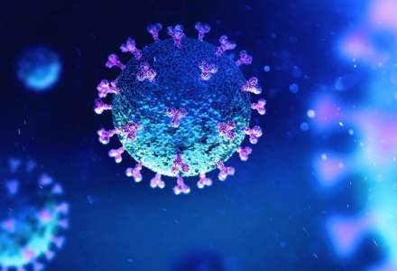 OMS: Pentru prima oară de la debutul pandemiei au scăzut infecțiile și decesele provocate de COVID-19 în întreaga lume