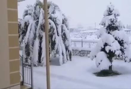 Grecia se confruntă cu o puternică furtună de zăpadă