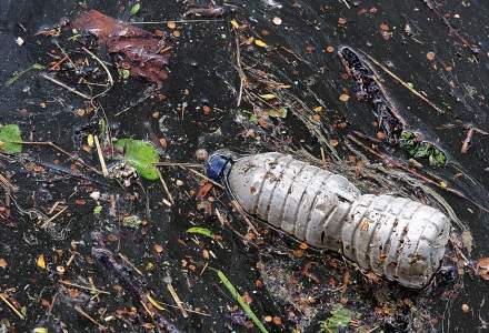 Biodegradabil și nu prea: cum știm că ambalajele folosite nu afectează mediul