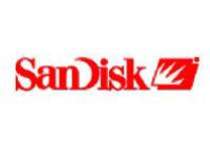 SanDisk a trecut pe profit in T2