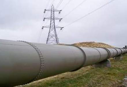 Gazprom vrea o participatie majoritara la compania croata INA