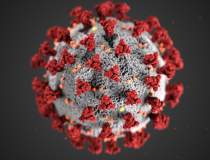 UPDATE Coronavirus 6 martie |...