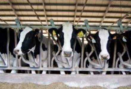 Aproape 15 tone de lapte si produse lactate, oprite de la comercializare dupa controale ANPC
