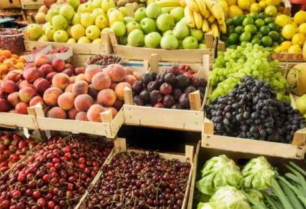 Romania cauta solutii pentru depozitarea fructelor produse de fermierii din Moldova