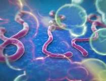 Ebola, CEL MAI LETAL VIRUS, a...